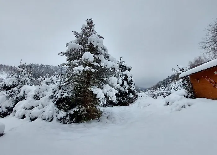 فيلة Ski/bike Sapporo ⃰ ⃰ ⃰ *