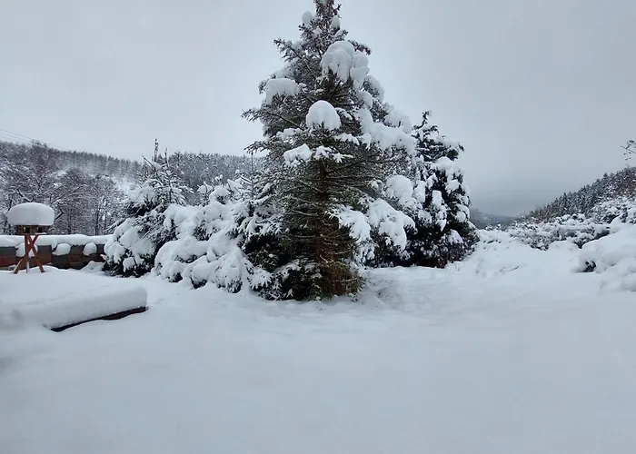 Ski/bike Sapporo ⃰ ⃰ ⃰ فيلة Kraslice